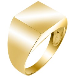 Χρυσό ανδρικό chevalier δαχτυλίδι Κ14